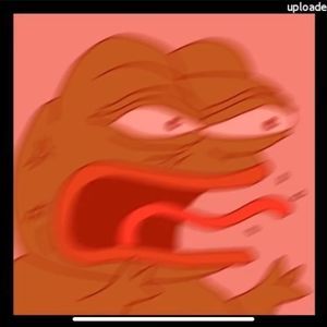 Meet your Posher, Shane